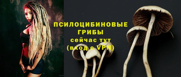кокаин премиум Краснослободск
